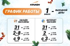 График работы до 9 января